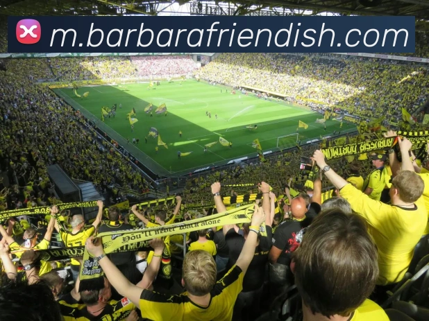 mksports官网地址全站App